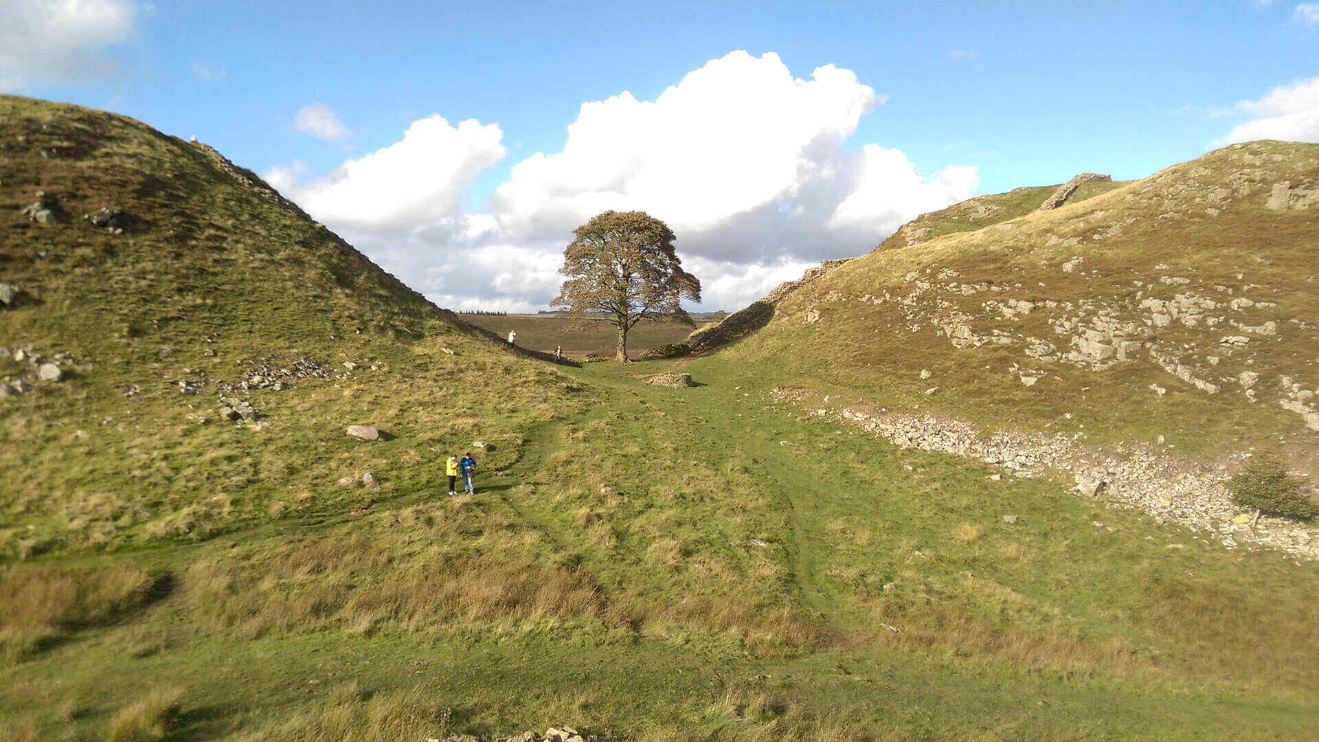 Dog friendly cottages shop near hadrian's wall